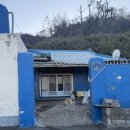 레드하우스 | [포항 숙소] 크리스마스 트리 있는 &#39;레드하우스 오션힐즈&#39; B203호 찐후기