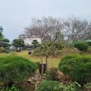 오광 주유소 이미지