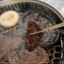 탄성한우 이미지