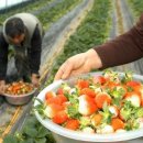 농선농장 이미지