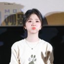 장룡 이미지