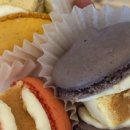 인마망마카롱 이미지