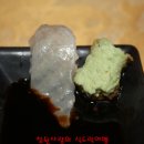 송죽일식 이미지