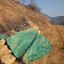 동편농장 이미지