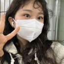 유니컬속눈썹 이미지
