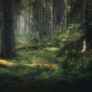 건강헬스클럽 이미지