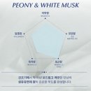 화이트오 | 올리브영 향수 추천, 로이비 피오니 앤 화이트 머스크 오 드 퍼퓸 지속력 솔직 후기 호드백