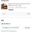 키우소농장 | [팔도감 매일농장] 고구마 키우면 고구마가 무료🍠
