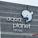 여수거북푸드 | 여수 벨루가 돌아기와 보고온 아쿠아플라넷