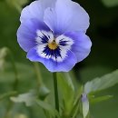 홍제365치과의원 이미지