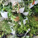 올소올소 | 전참시 미우새 방송에도 나온 가성비 쇼핑 성지로 소문난 파주 올소 마트 리퍼브 매장 방문 리얼 후기