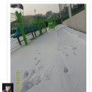 경산생활체육공원 이미지