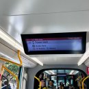 남산중앙약국 | 호주 시드니 7박8일 8월 겨울여행 5일차