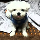 다모아헬스케어 이미지