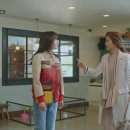 참 동물병원 이미지