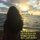 희망 이미지