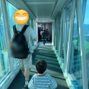 THE ORION | 1월 아이랑 오키나와 / 더 오리온 호텔 모토부 리조트&amp;스파 후기 (The Orion Hotel Motobu Resort&amp;Spa)