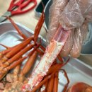 웰빙주먹밥 | 주문진 웰빙 홍게 무한리필 내돈내산 솔직후기｜가성비·신선도 모두 만족