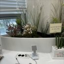 뮤즈헤어 이미지