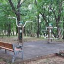 자인계정숲(씨름장) 이미지