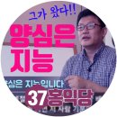 홍익당 이미지