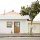 제주돌체 이미지