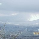 먹방민박 이미지
