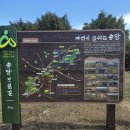 산림욕장 진입로 | 제주 반려견 동반 오름 추천, 거슨새미오름 비자림 숲길 산책