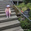 한라산백록담 | 5살, 9살 한라산 성판악~성판악 코스 백록담 성공!! 등산 후기! 등산 캐리어 사용