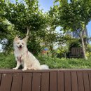 박종현동물병원 이미지