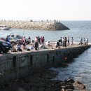 오이도종합어시장 이미지