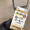 마니파마트 이미지