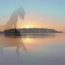 축제의 바다 이미지