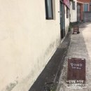 김녕오토바이상사