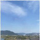 슬기로운부동산공인중개사사무소 이미지