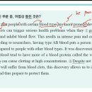 빠바라기