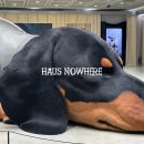 노웨어하우스 | 서울 성수 놀거리 하우스노웨어 젠틀몬스터 신사옥 탐방 후기