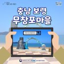 무창포어촌체험휴양마을 | [해양수산부, 7월 어촌 여행지 &#39;충남 보령 무창포어촌체험휴양마을&#39;]
