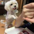 유하2천 이미지
