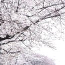 (주)시민의소리 이미지