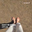 이마트에브리데이 고덕강일점 | 월간 감사행성 후 CGV 고덕강일점 천만영화가 될 것 같은 <왕과사는 남자> 관람 후기