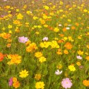 부개공원 이미지