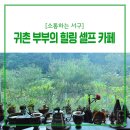 안물안연가