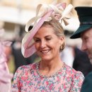 킹스패밀리 이미지