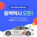 부산동백관광 이미지