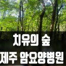 오름요양병원 | 제주 암요양병원 추천｜자연치유 가능한 드림힐의 특별함