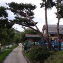 제수리낚시터 이미지