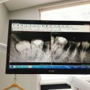 코스모스치과의원 이미지