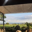 해변연가 이미지