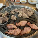 우돈오리 이미지